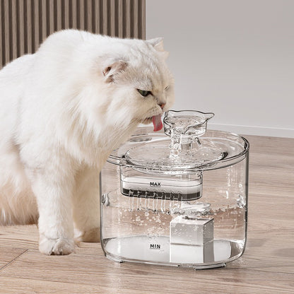 2.2 Liters Automatic Pet Drinking Waterer - FT666 Clear